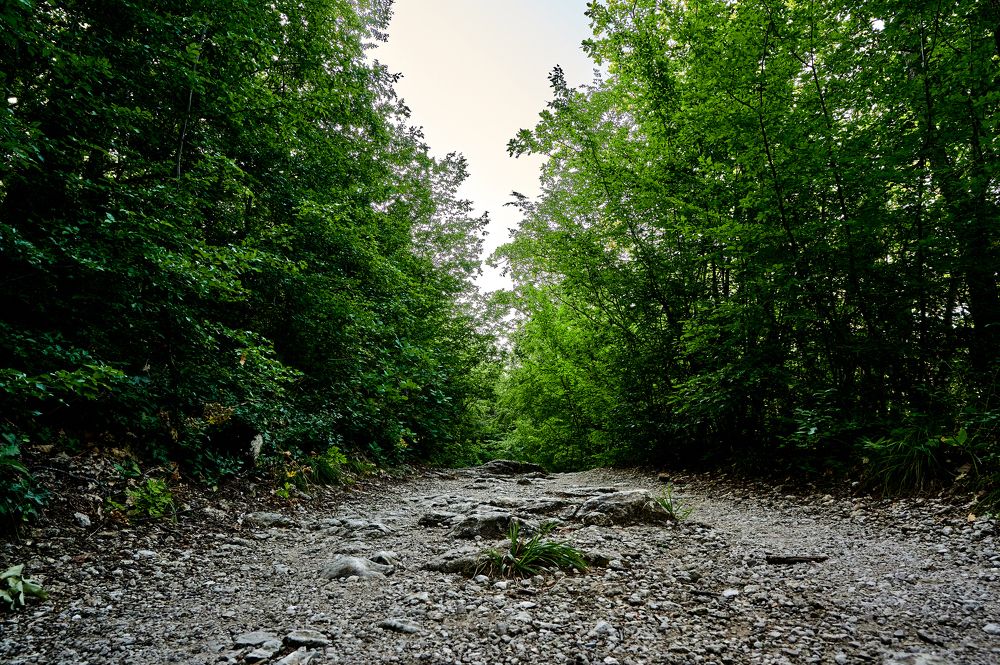 Photograph by Роман Зыков