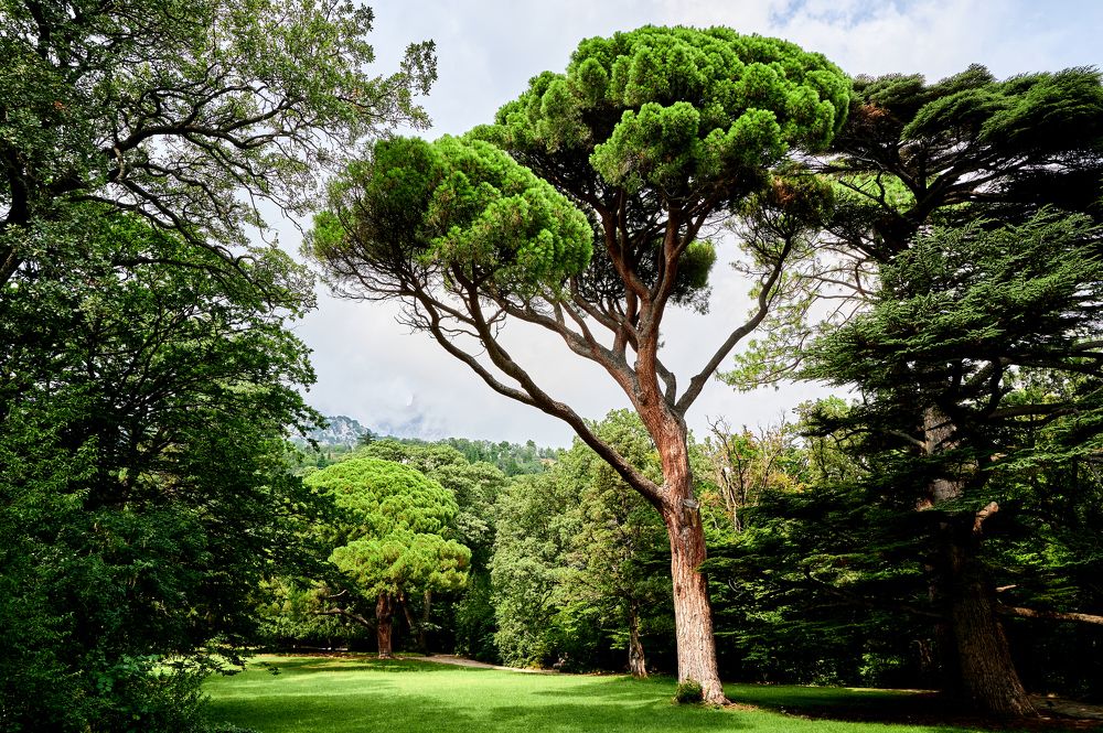 Photograph by Роман Зыков