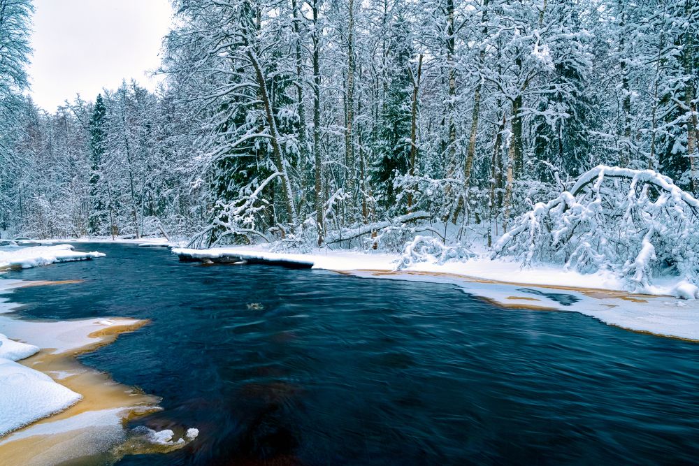 Рощинка зимой