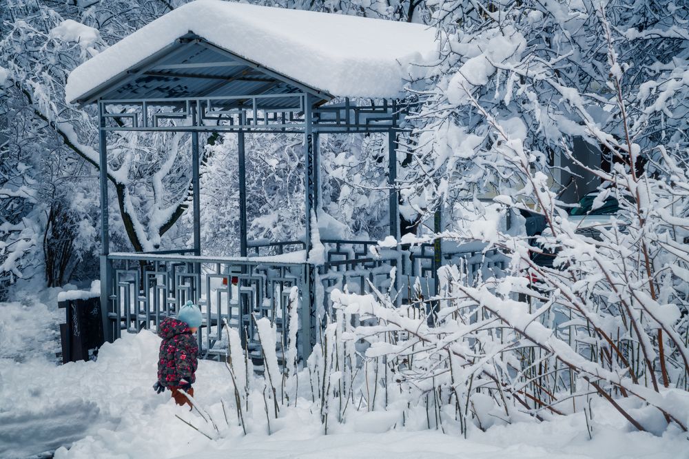 Photograph by Владимир Кваша