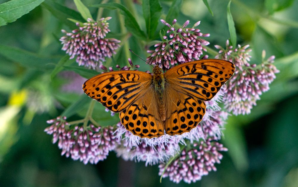 Photograph by Viktor Makarov