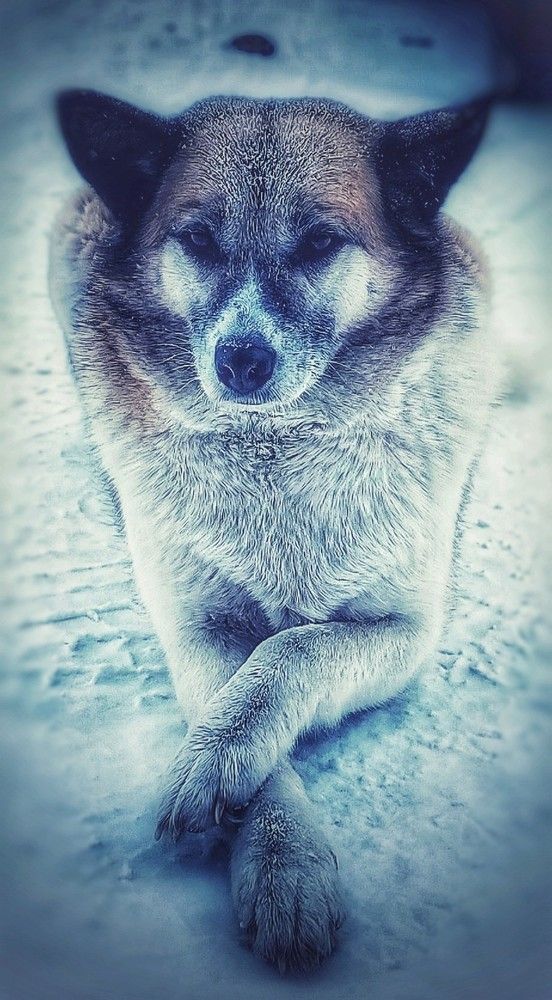 Photograph by Лера