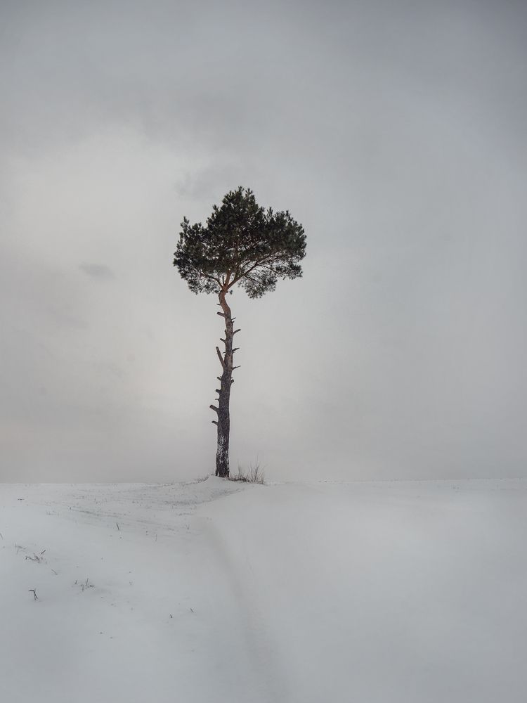 Photograph by Aliaksei Shandalin