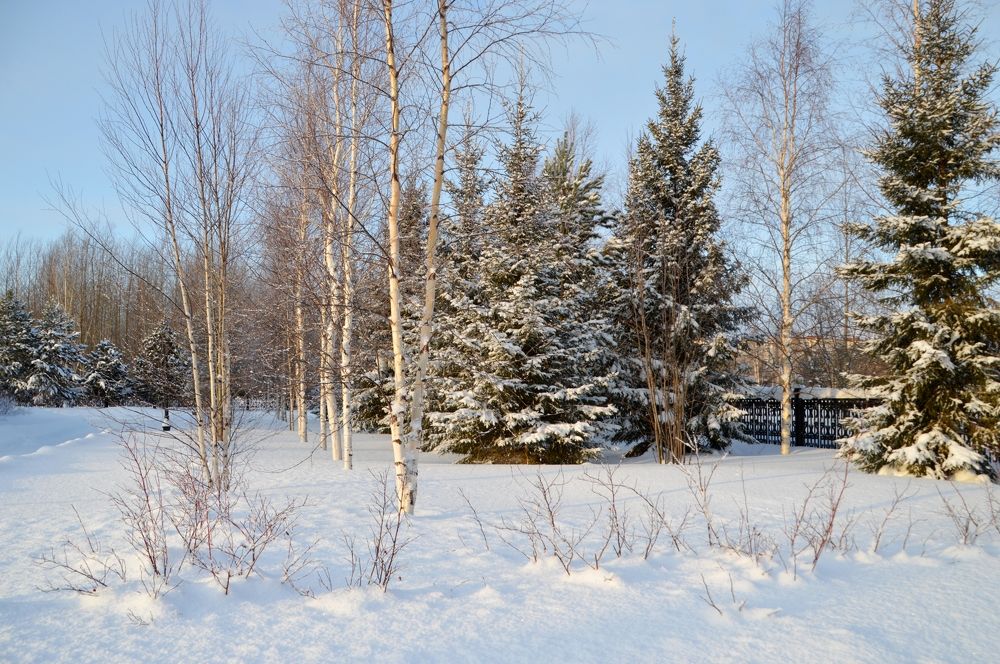 В ритме танца