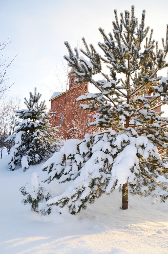 Во дворе храма