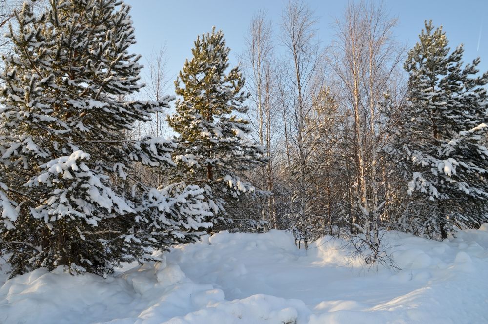 В ожидании чуда