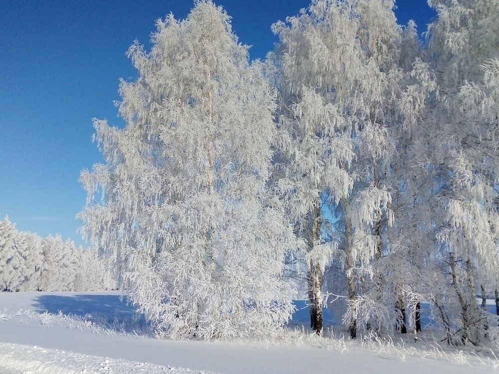 Photo #7128618