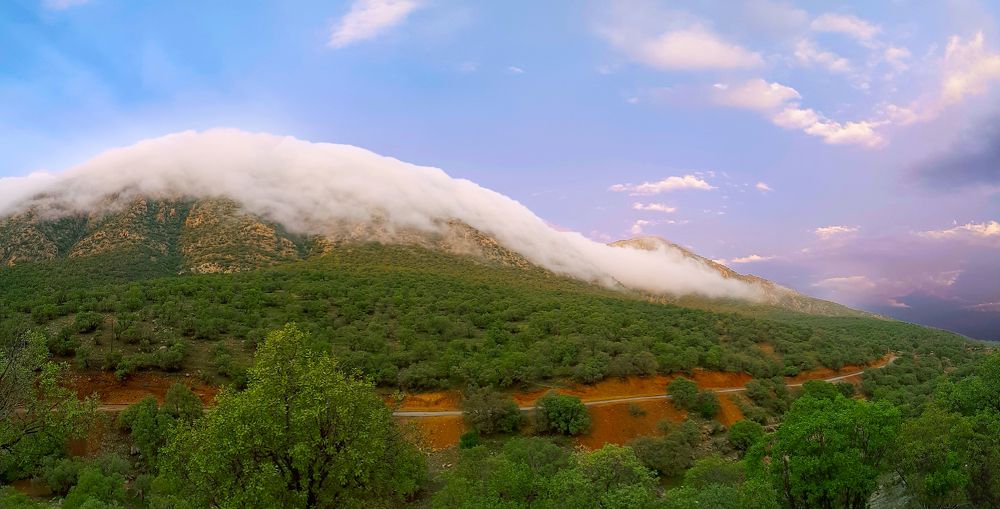 Photograph by Omid Mansourbeygi