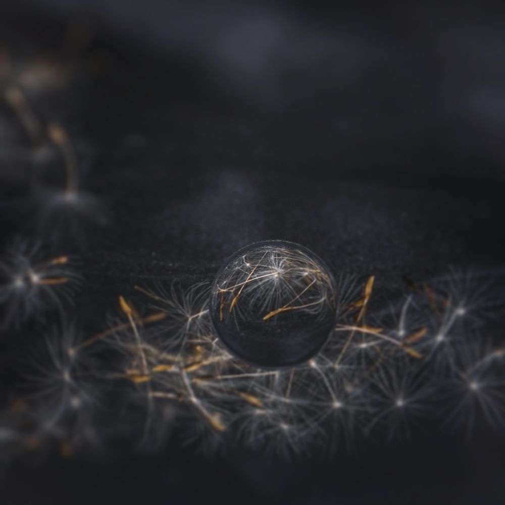 Photograph by Елена Пасажицкая