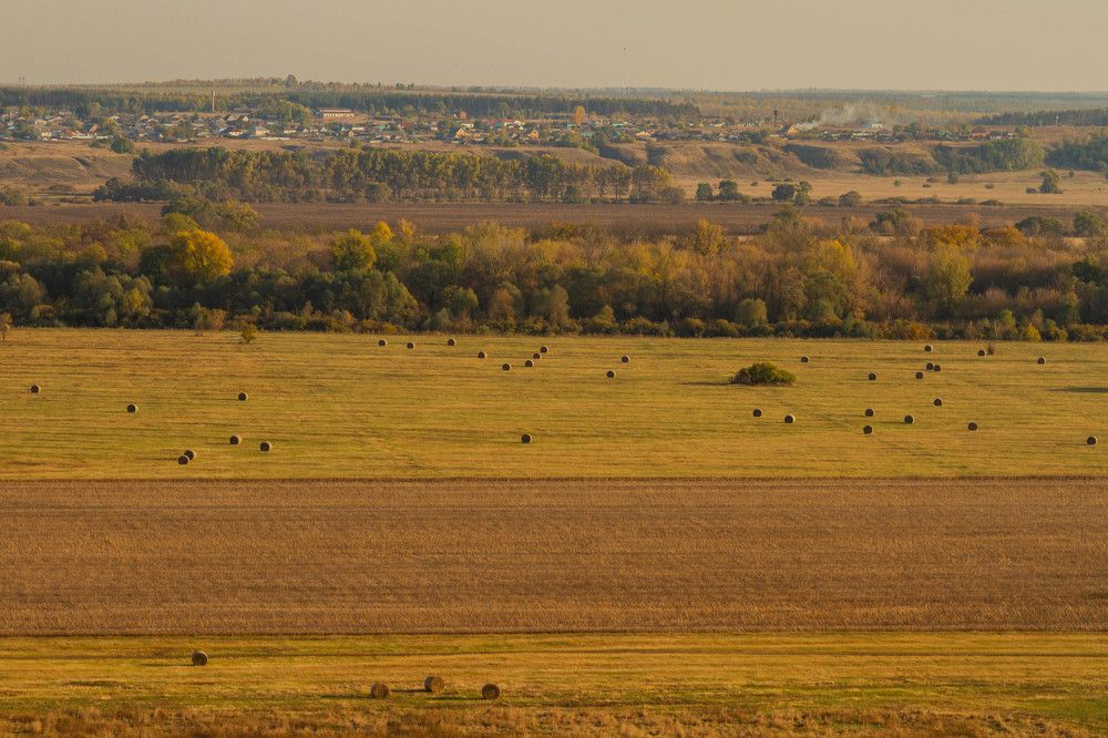 Фотография автора Тимофеев Алексей