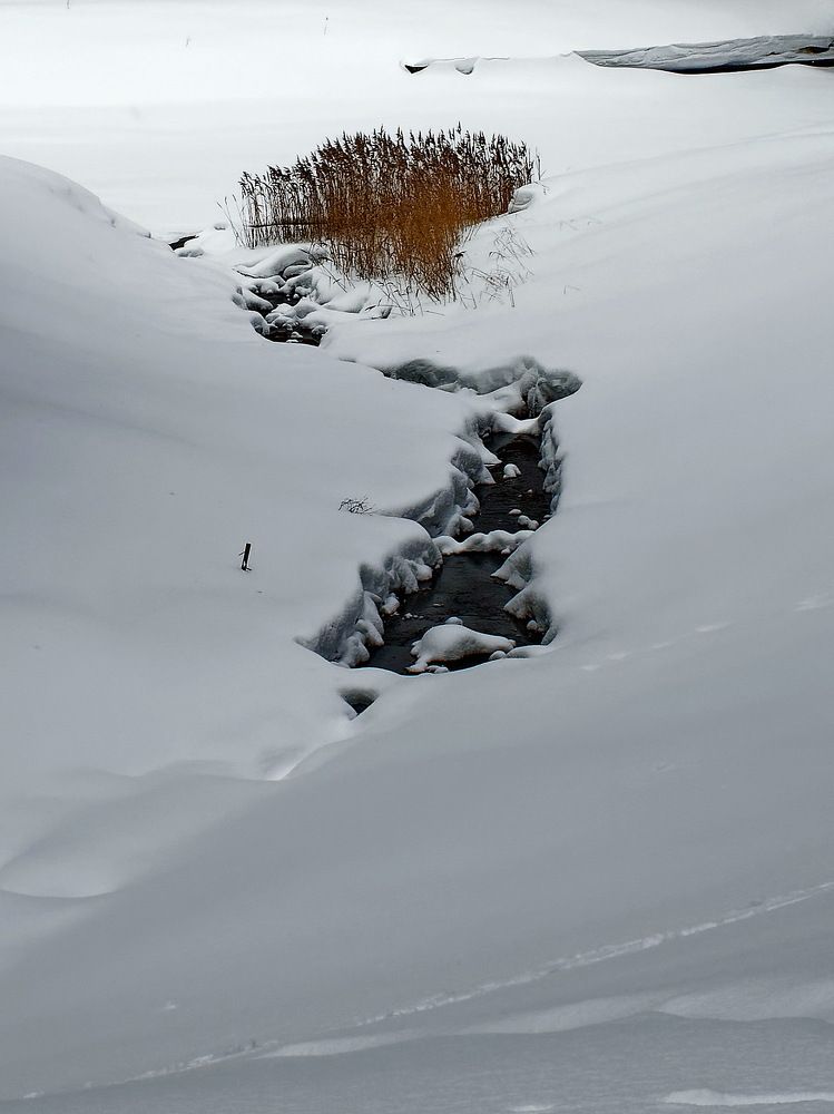 Photograph by Андрей Панин