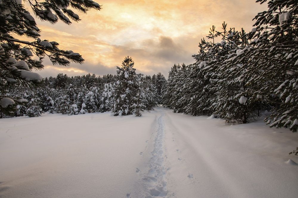 Photograph by Максим