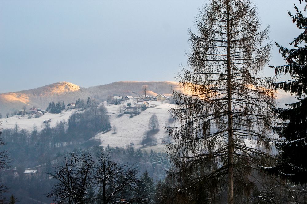 Photograph by Gregor Kobilica