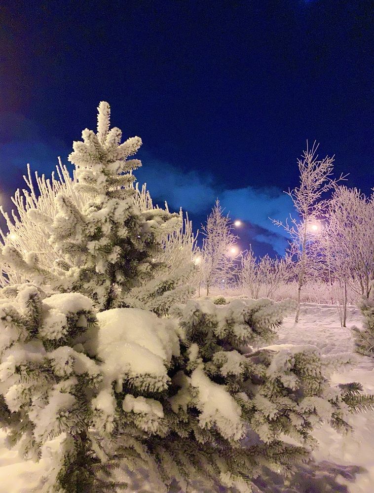 Photograph by Марина Танаева