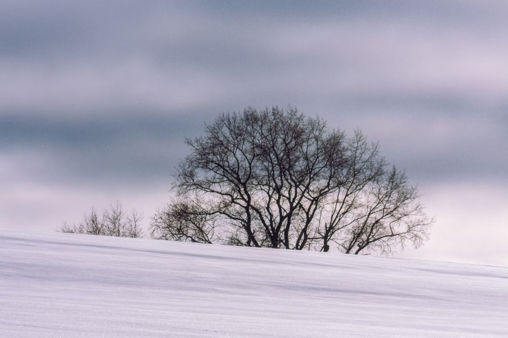 Photograph by Евгений Москвин