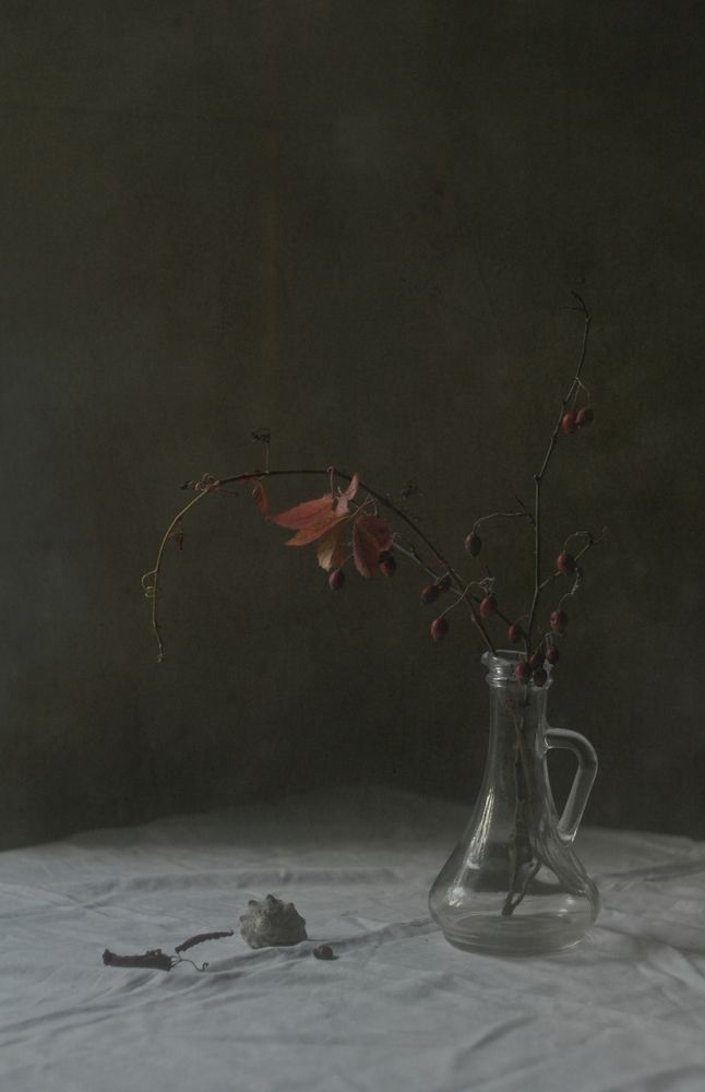 Photograph by Ирина Ямчицкая