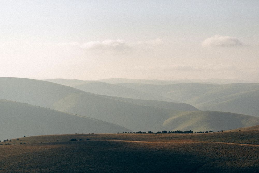 Photograph by Марк Райзов