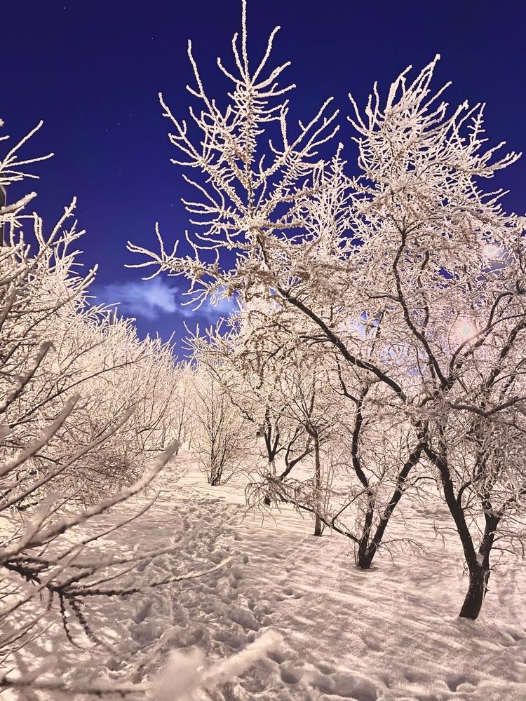 Photograph by Марина Танаева