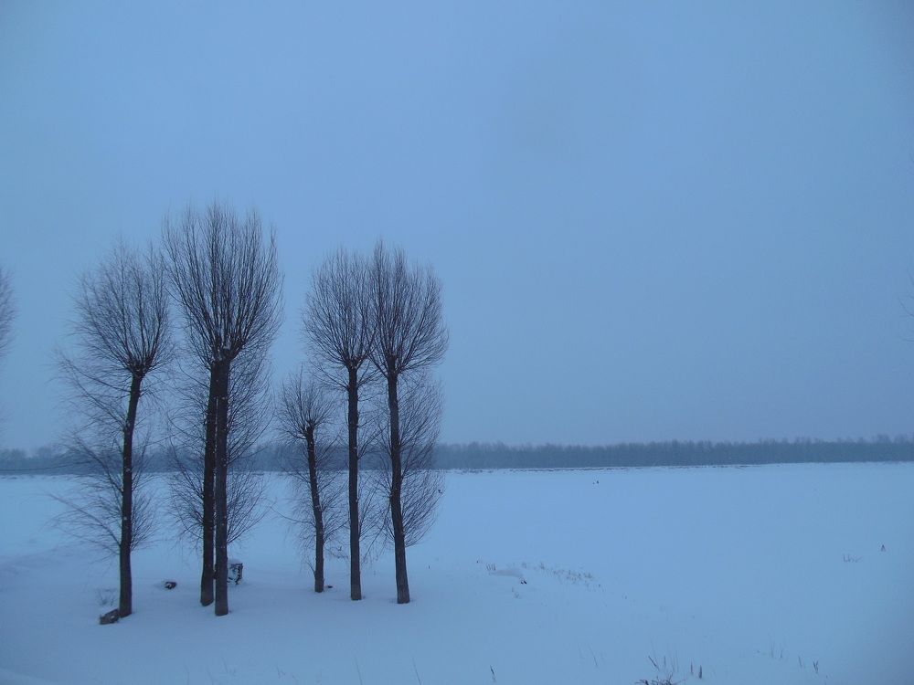 Photograph by Светлана Батурова