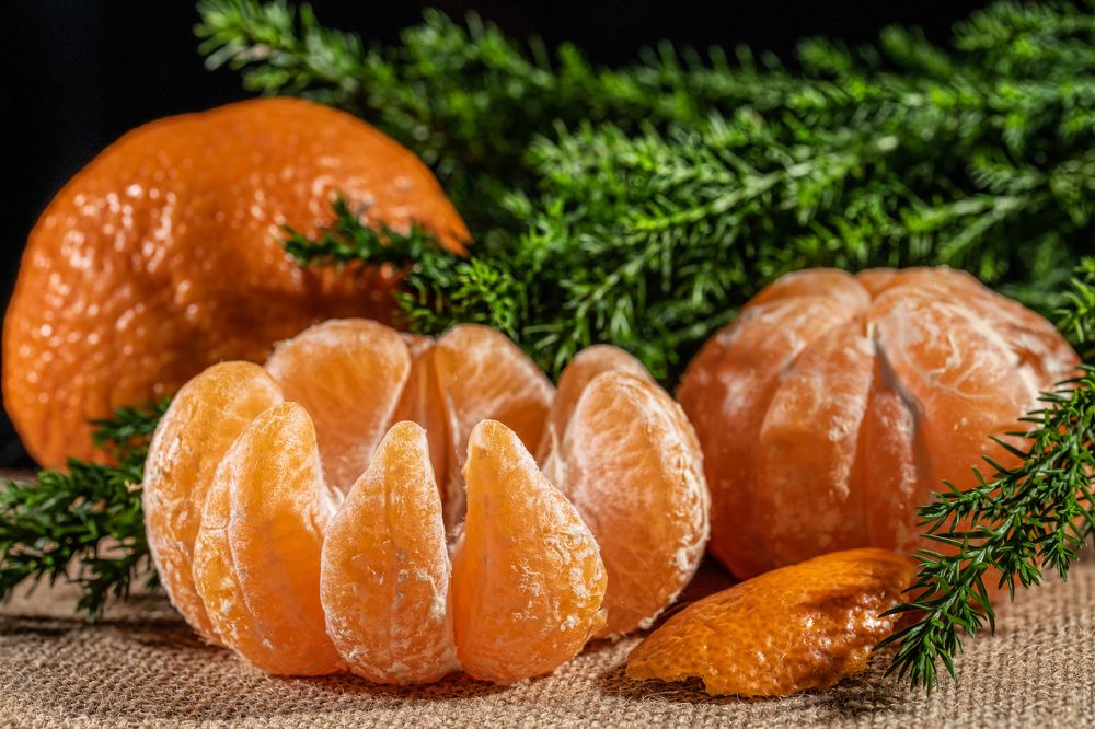 Photograph by Екатерина Караваева