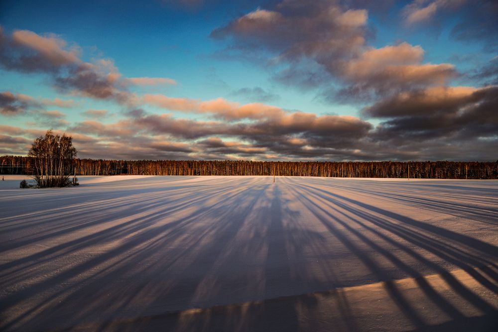 Photograph by Sergey Uskov