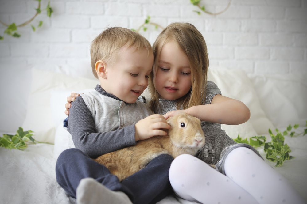 Photograph by Анна Зайцева