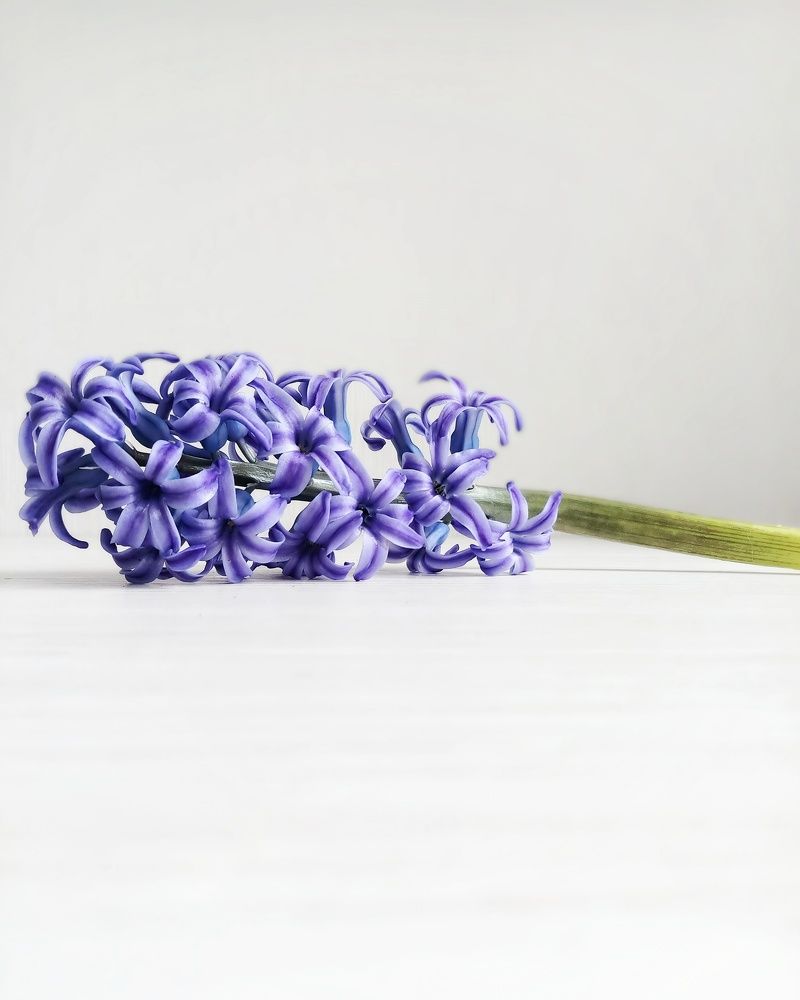 Photograph by Olga Oshchepkova