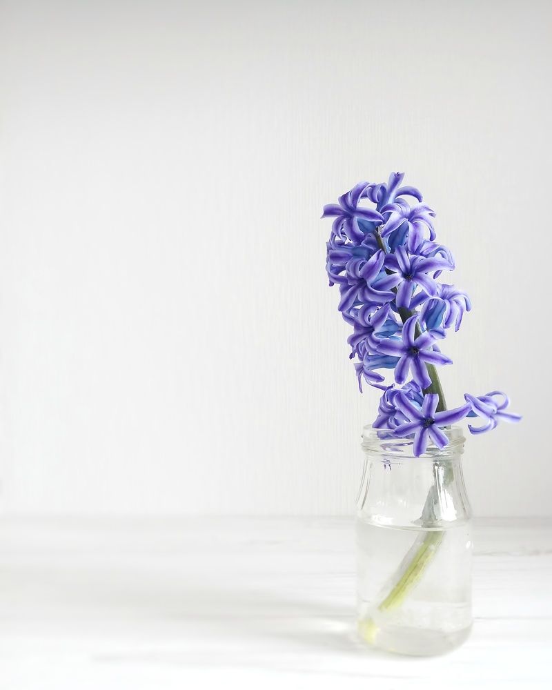 Photograph by Olga Oshchepkova