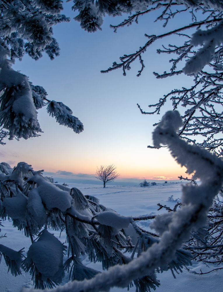 Photograph by Кирилл Владыкин