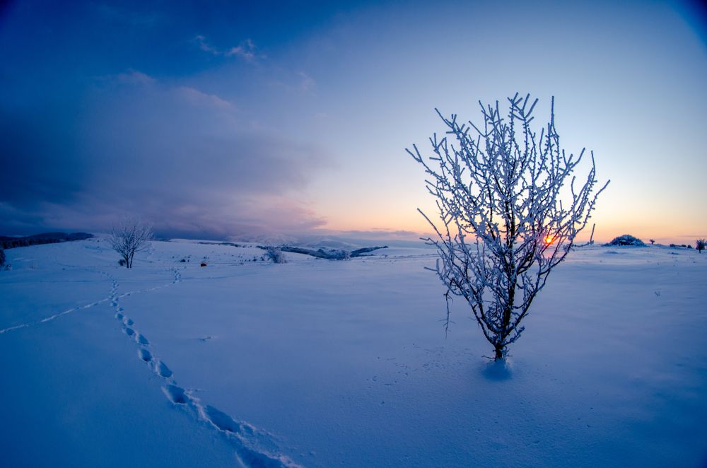 Photograph by Кирилл Владыкин