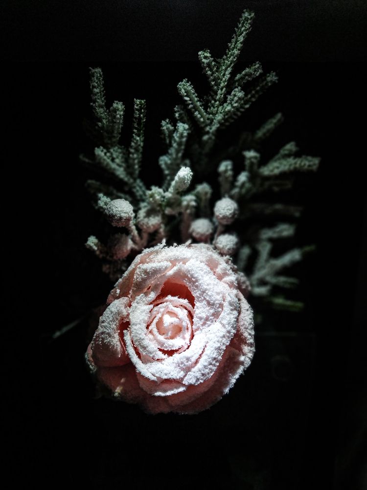 Photograph by Tazo Gagloshvili