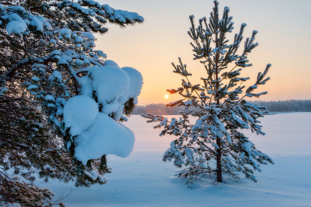 Photograph by Светлана Ващенко