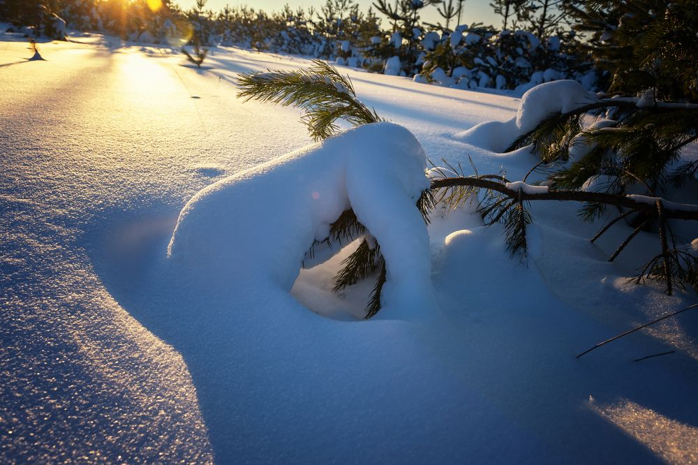 Photograph by Светлана Ващенко