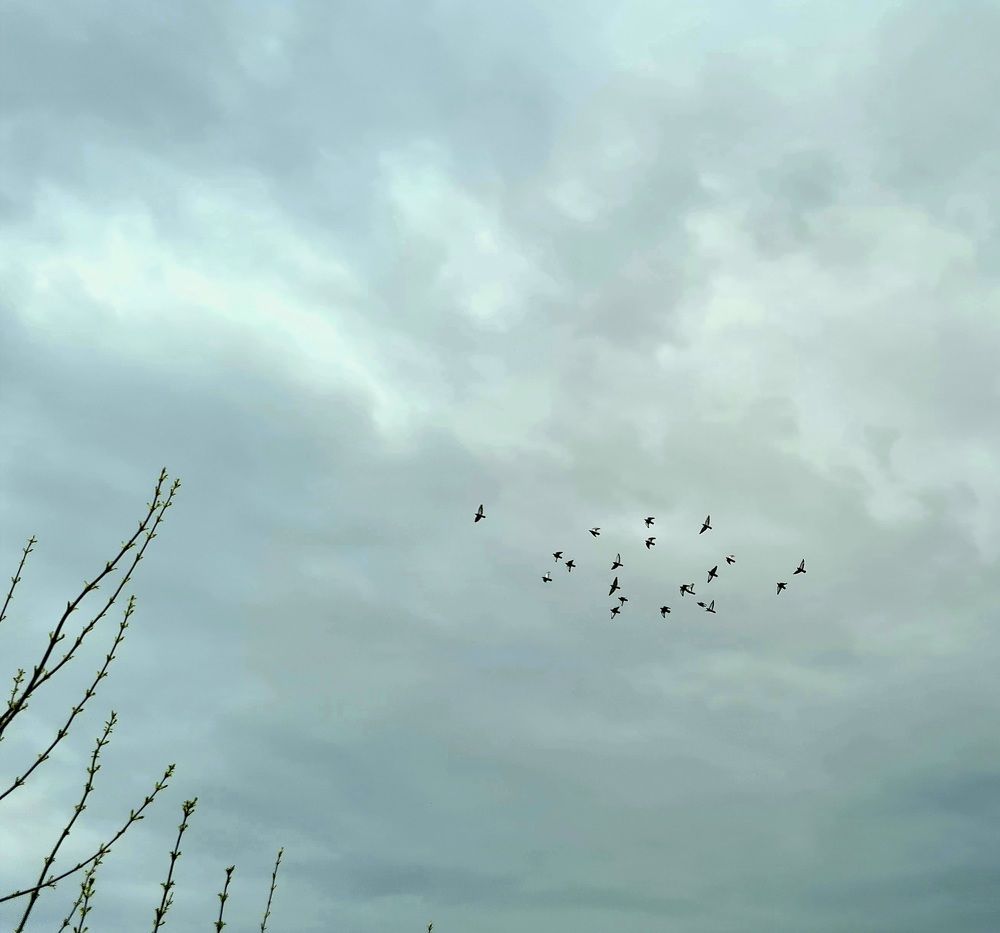 Photograph by Елена Квасова