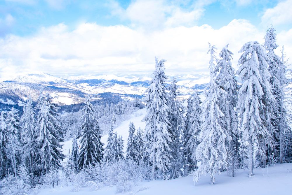 Photograph by Диана Бородзе