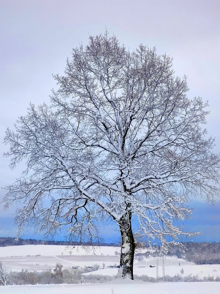 Photograph by Инна Макарчук