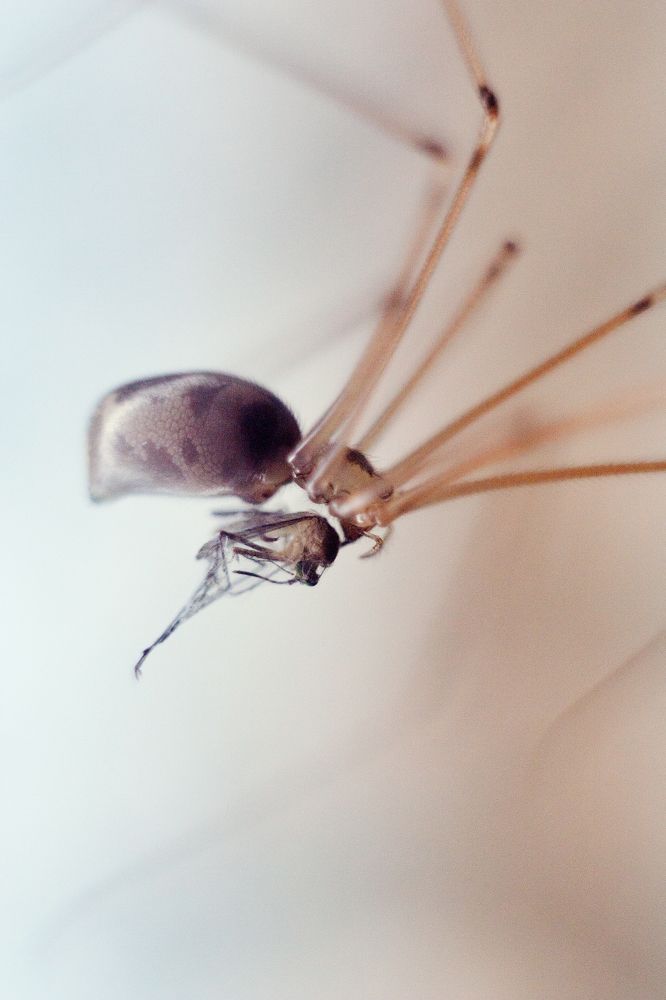 Photograph by Игорь Юркивский