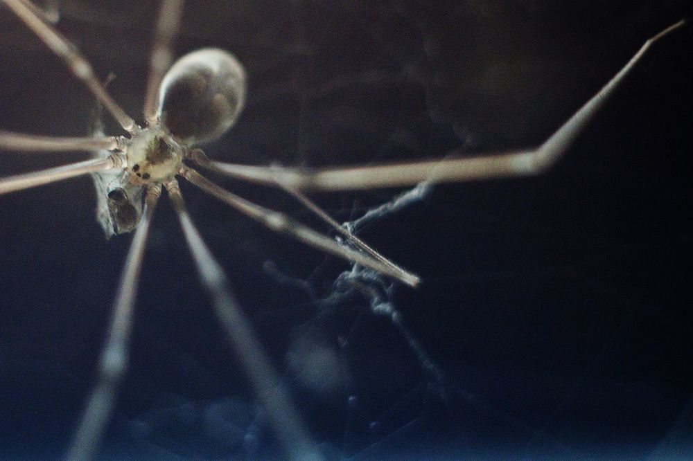 Photograph by Игорь Юркивский