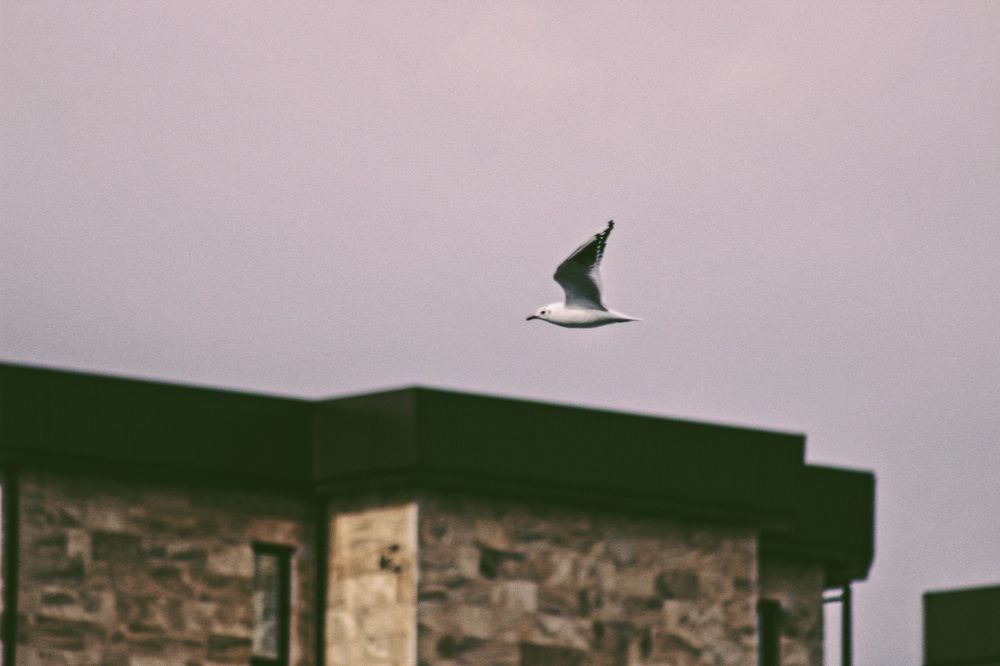 Photograph by Elijah Ishchenko