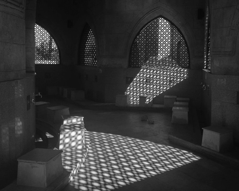 В тенистых уголках