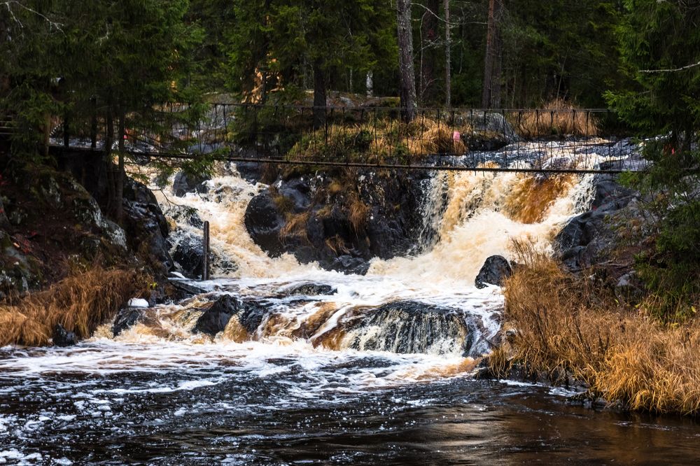Photograph by Евгений Моляшов