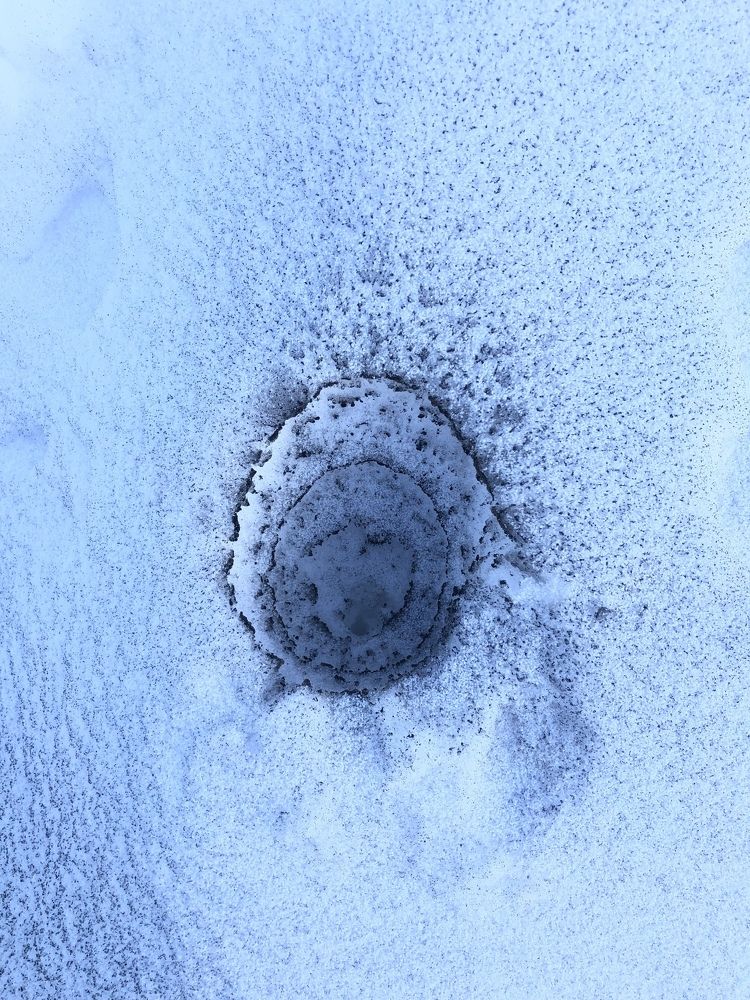 Photograph by Мария Бессмертная