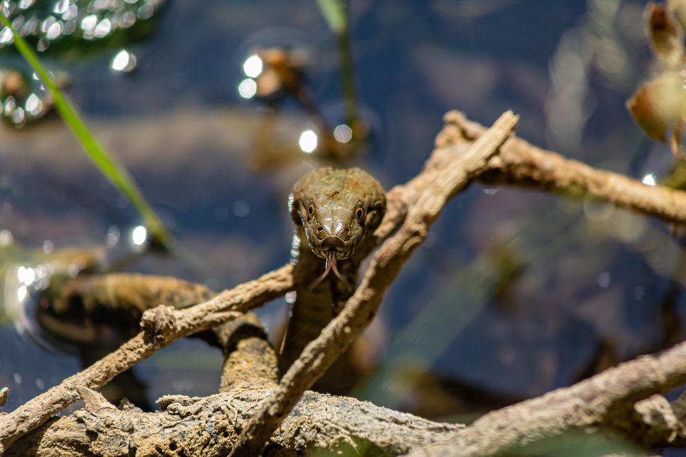 Photograph by Evgeny Ruban