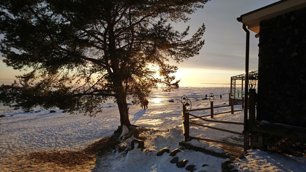 Photograph by Александр Викулов