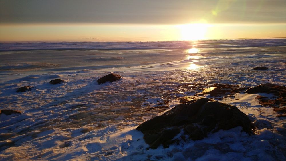 Photograph by Александр Викулов