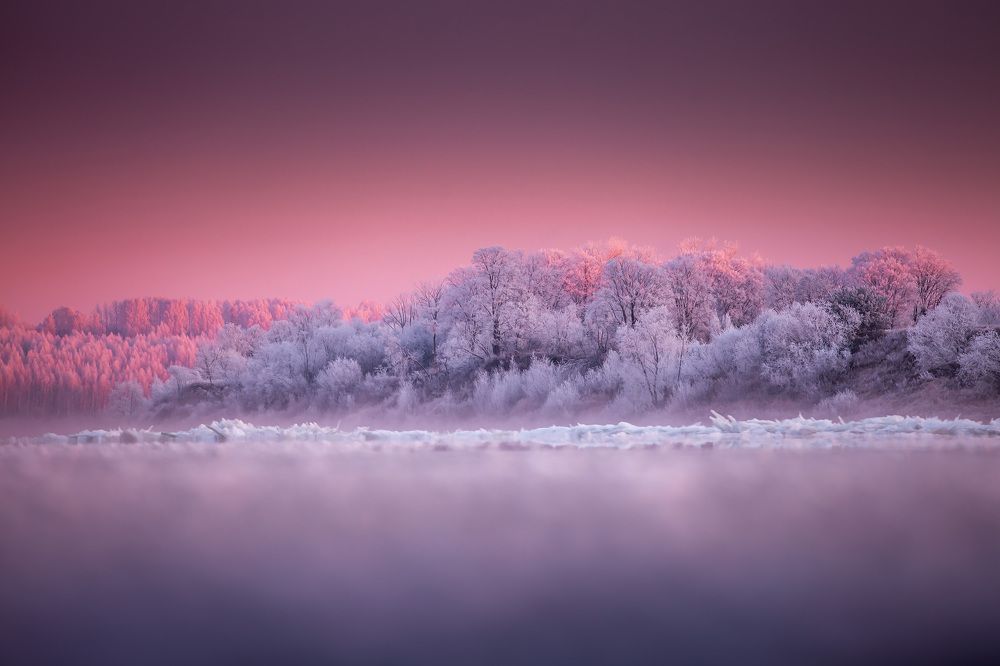 Photograph by Дмитрий Сдобин