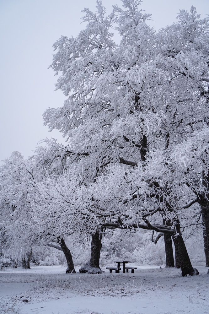 Photograph by Мария Федотова