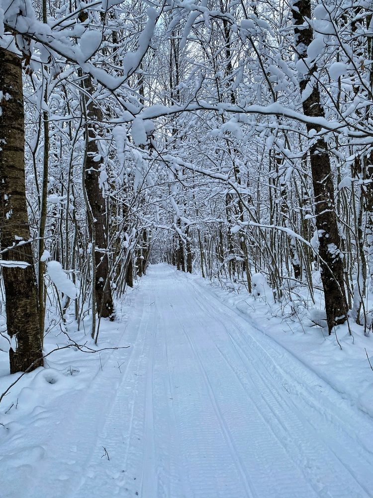 Photograph by Наталья