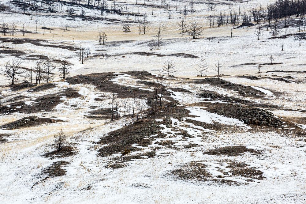 Photograph by Тезиков Сергей