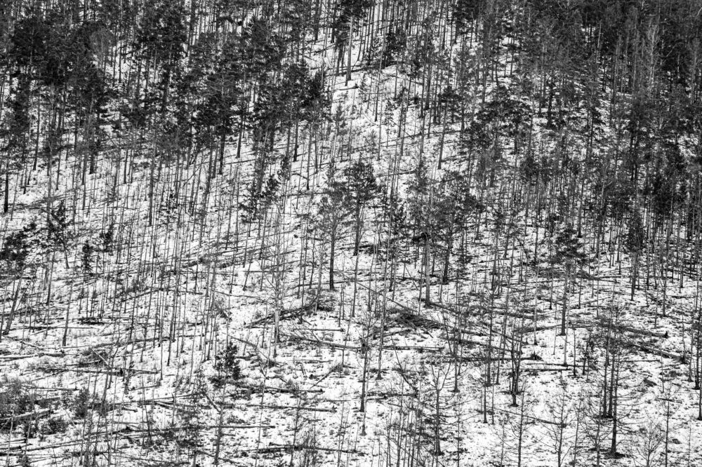 Photograph by Тезиков Сергей